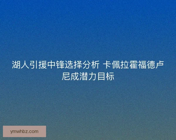 湖人引援中锋选择分析 卡佩拉霍福德卢尼成潜力目标