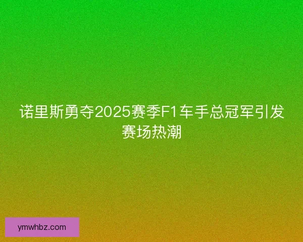 诺里斯勇夺2025赛季F1车手总冠军引发赛场热潮