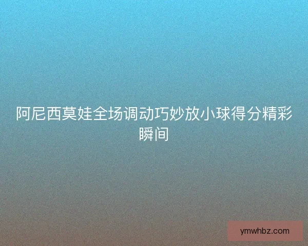 阿尼西莫娃全场调动巧妙放小球得分精彩瞬间